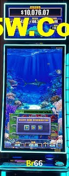 Live Casino Br66