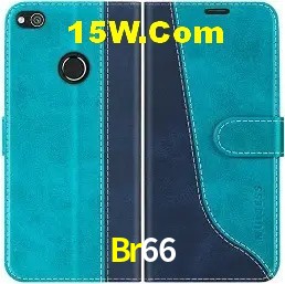 Design Responsivo Br66