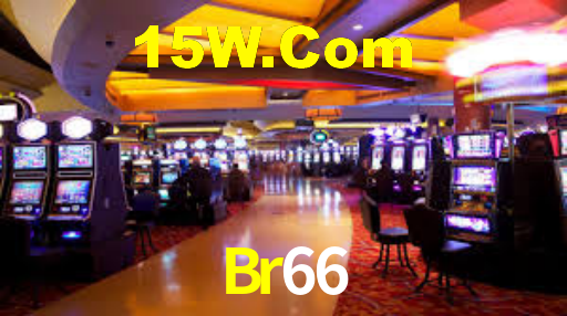 Programa VIP Br66