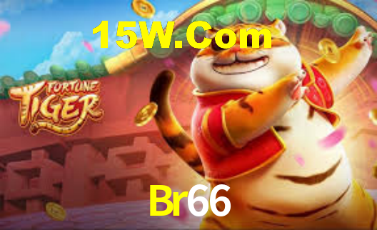 Br66 App Interface