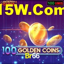Secure Login Br66
