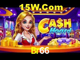 Flash Promotion Br66